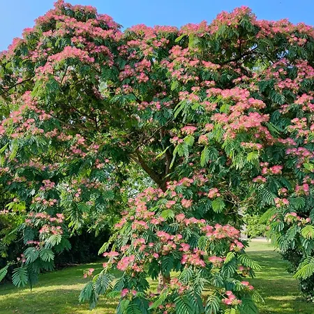 B&B Au Clos Des Templiers 3*