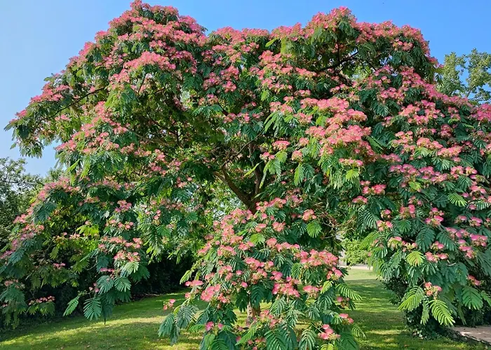 Couette-café Au Clos Des Templiers 3*